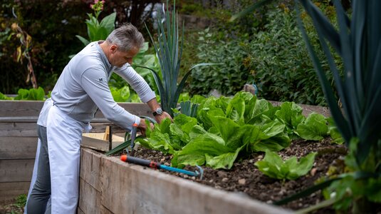 Bei vielen Betrieben gehören Zutaten aus dem eigenen Garten längst zu Realität | © Überall / IDM Südtirol - Alto Adige