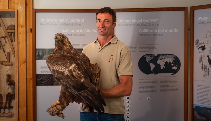 Die Natur schätzen lernen - Ronald Oberhofer, Nationalparkhaus Lahnersäge in Ulten | © Cinemepic / IDM Südtirol
