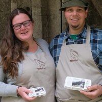 Wachteleier vom Oberfrei