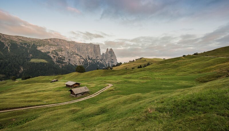 Seiser Alm | © Harald Wisthaler