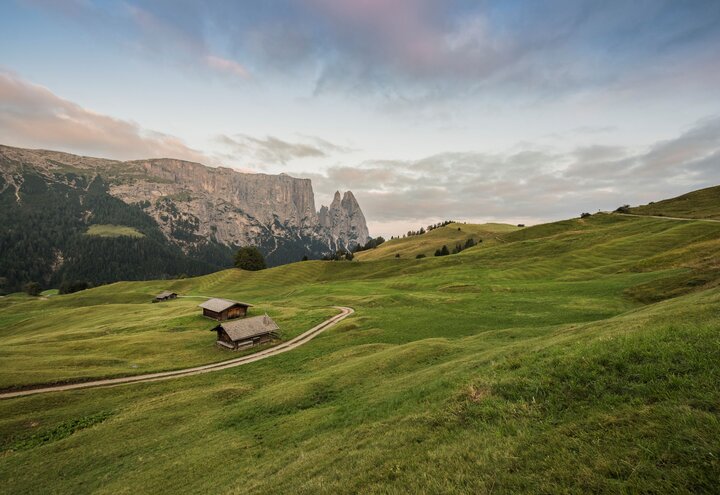 Seiser Alm | © Harald Wisthaler
