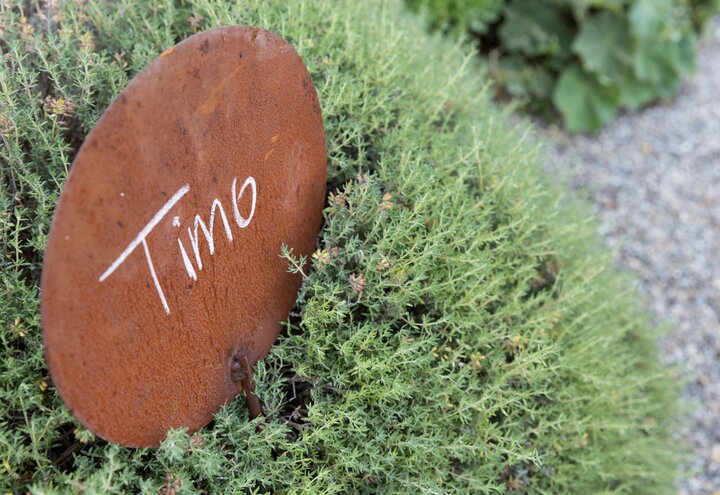 Symbolbild: Kräutergarten