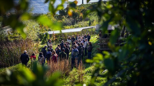 Zu Gast bei Pionieren im Meran | © Jan Palma