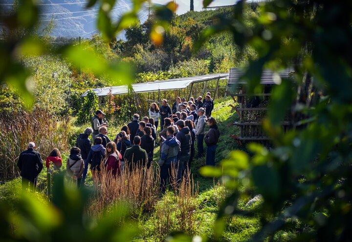 Zu Gast bei Pionieren im Meran | © IDM Südtirol-Alto Adige/Jan Palma