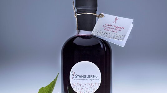 Schwarzes Cassis Likör | © Foto: Helmuth Rier