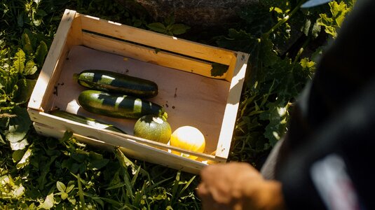 Die Direktvermarktung entwickelt sich für immer mehr Betriebe zu einem stabilen wirtschaftlichen Pfeiler | © IDM Süditrol - Alto Adige