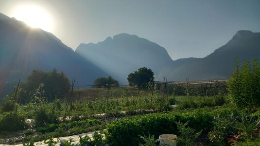 Der Garten des Schloffhof Baumann | © Schlosshof Baumann