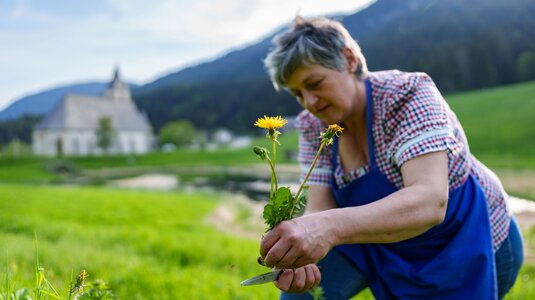 Der Löwenzahn bringt Wissen und Kulinarik auf den Deutschnonsberg