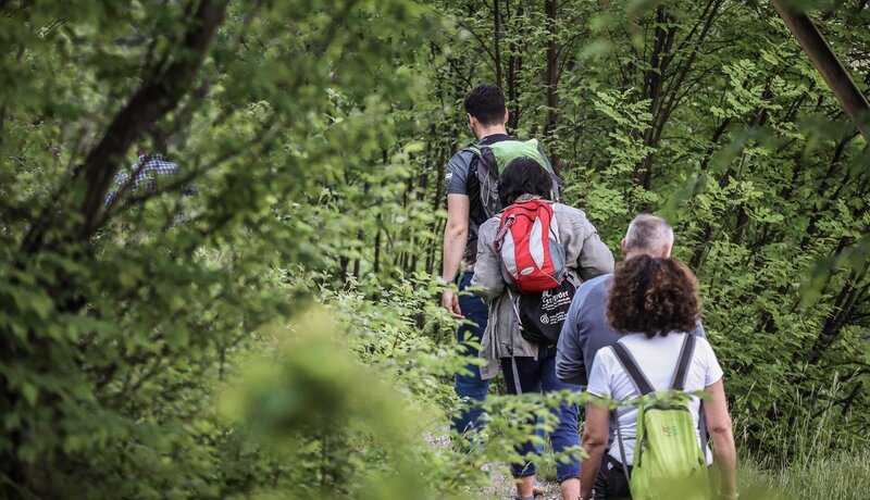 Wanderleiter führen Gruppe auf einer Wanderung durch den Wald
