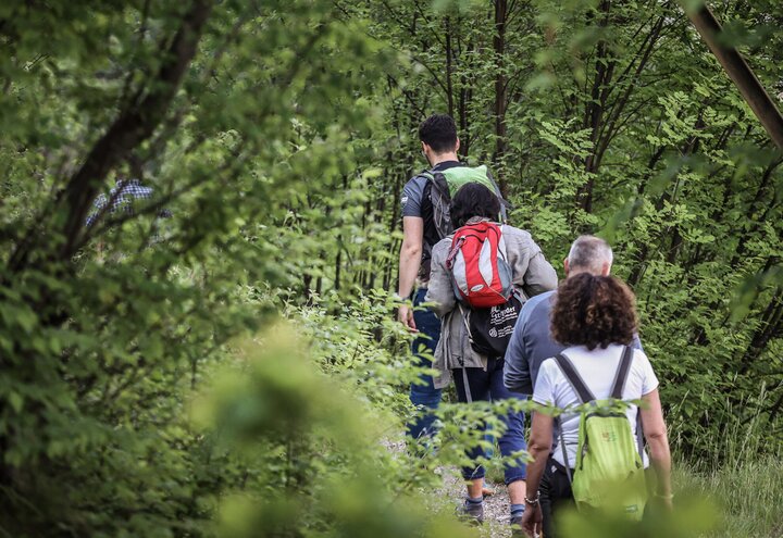 Wanderleiter führen Gruppe auf einer Wanderung durch den Wald