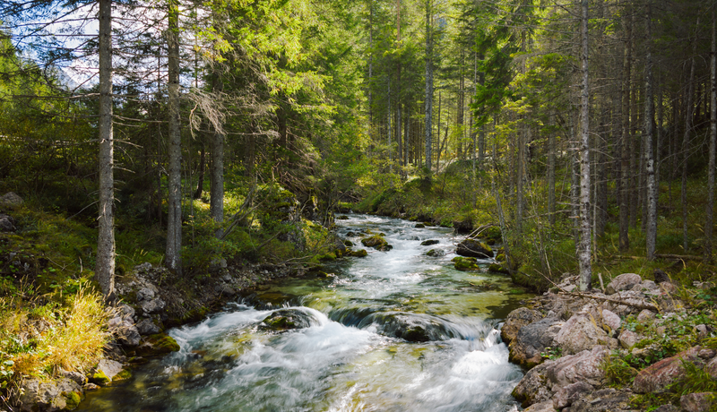 Header | © IDM Südtirol-Alto Adige/Maximilian Egger