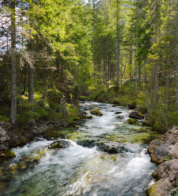 Header | © IDM Südtirol-Alto Adige/Maximilian Egger