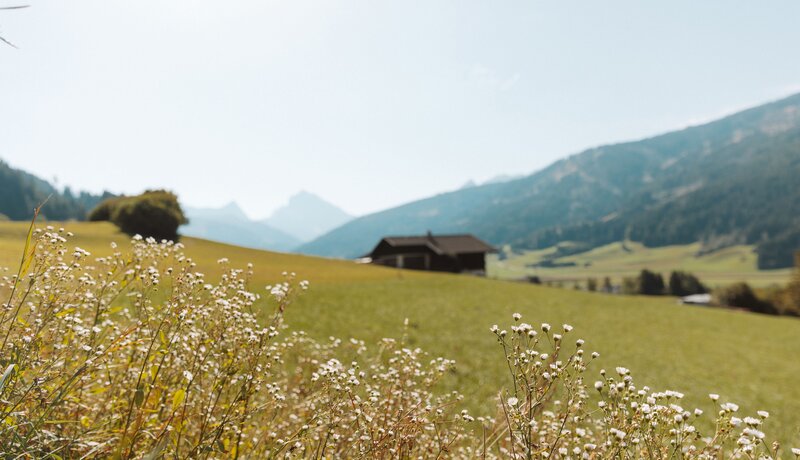 Berglandschaft im Gsiesertal. | © IDM Südtirol-Alto Adige/Anna Malench