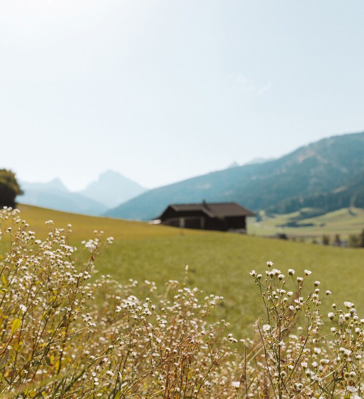 Berglandschaft im Gsiesertal. | © IDM Südtirol-Alto Adige/Anna Malench